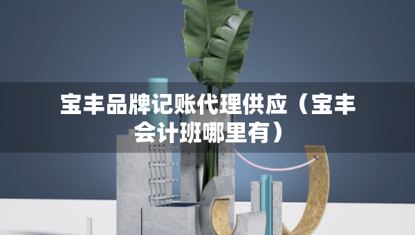 宝丰品牌记账代理供应（宝丰会计班哪里有）
