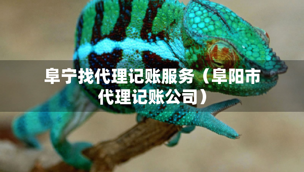 阜宁找代理记账服务（阜阳市代理记账公司）