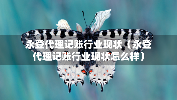 永登代理记账行业现状（永登代理记账行业现状怎么样）