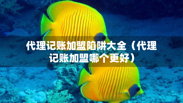 代理记账加盟陷阱大全（代理记账加盟哪个更好）