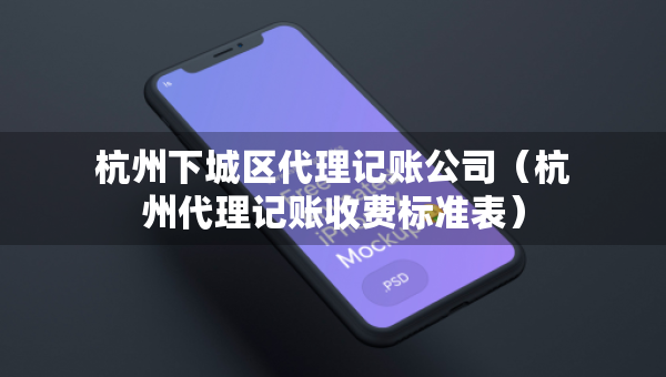 杭州下城区代理记账公司（杭州代理记账收费标准表）