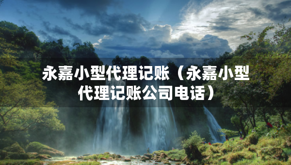 永嘉小型代理记账（永嘉小型代理记账公司电话）