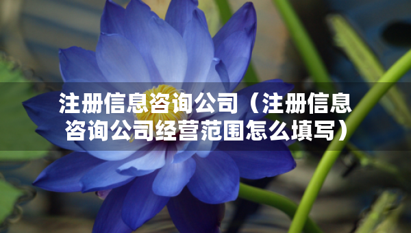 注册信息咨询公司（注册信息咨询公司经营范围怎么填写）