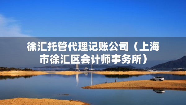 徐汇托管代理记账公司（上海市徐汇区会计师事务所）