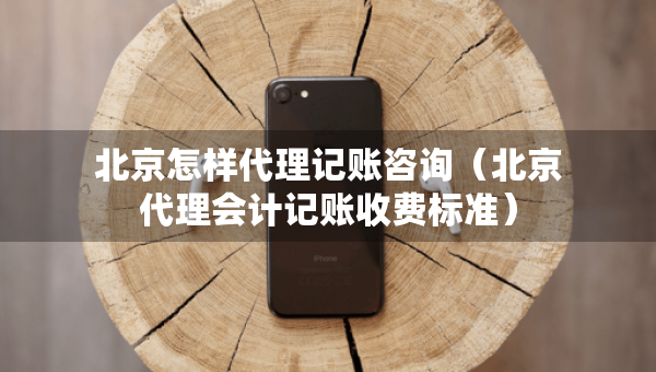 北京怎样代理记账咨询（北京代理会计记账收费标准）