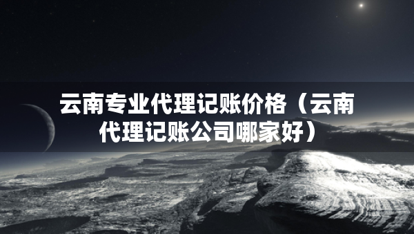云南专业代理记账价格（云南代理记账公司哪家好）