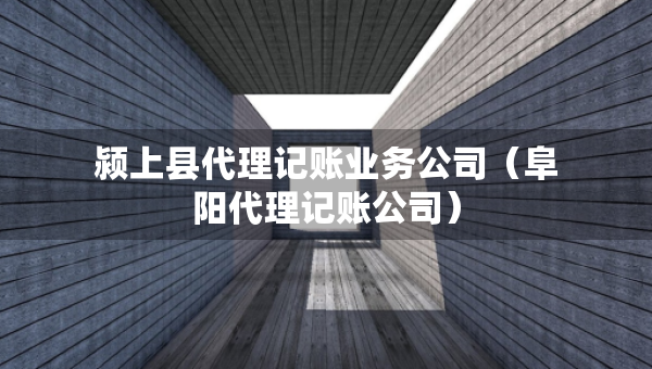 颍上县代理记账业务公司（阜阳代理记账公司）