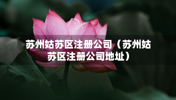 苏州姑苏区注册公司（苏州姑苏区注册公司地址）