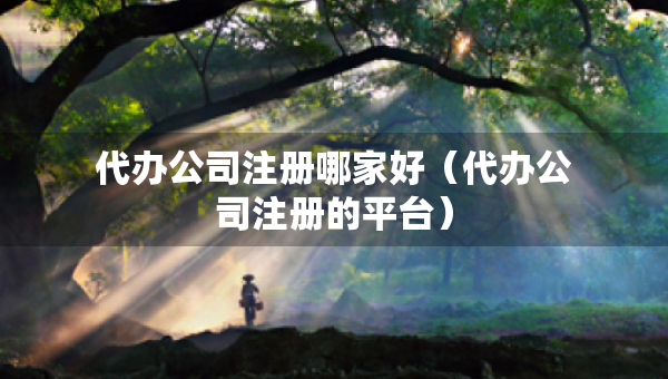 代办公司注册哪家好（代办公司注册的平台）