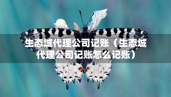 生态城代理公司记账(生态城代理公司记账怎么记账) 生态城代理公司记账(生态城代理公司记账怎么记账)