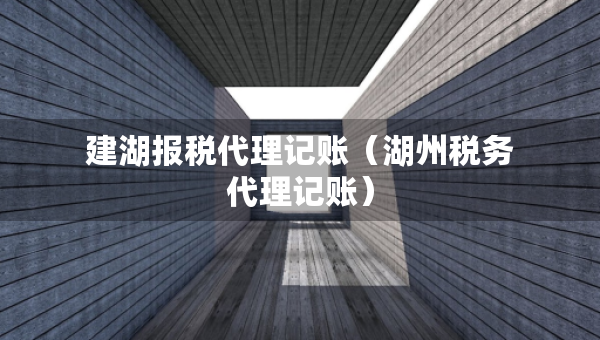 建湖报税代理记账（湖州税务代理记账）