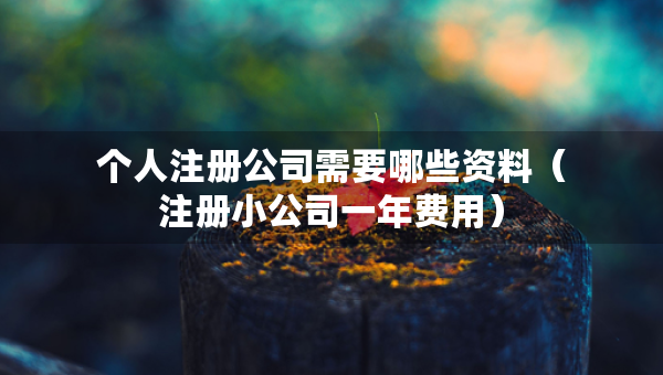个人注册公司需要哪些资料（注册小公司一年费用）
