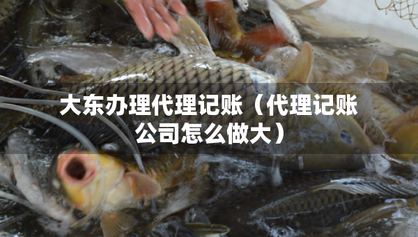 大东办理代理记账（代理记账公司怎么做大）