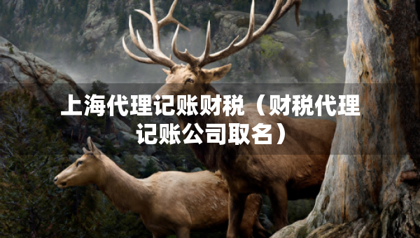 上海代理记账财税（财税代理记账公司取名）