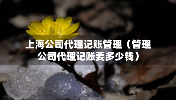 上海公司代理记账管理（管理公司代理记账要多少钱）