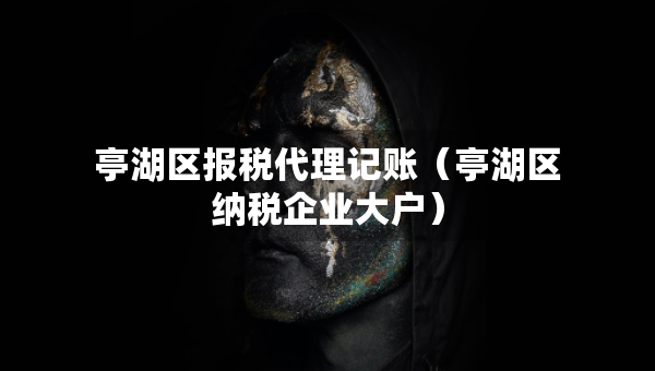 亭湖区报税代理记账（亭湖区纳税企业大户）