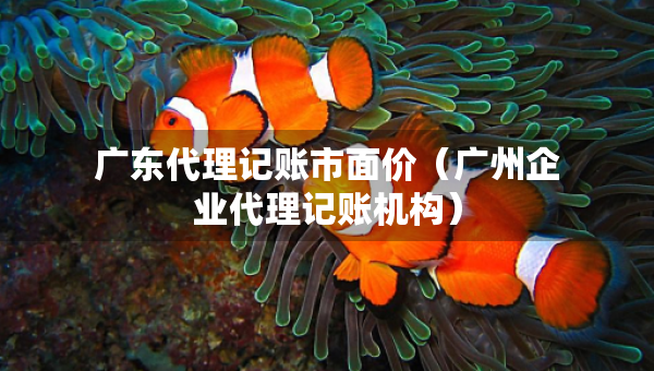 广东代理记账市面价（广州企业代理记账机构）