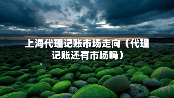 上海代理记账市场走向（代理记账还有市场吗）