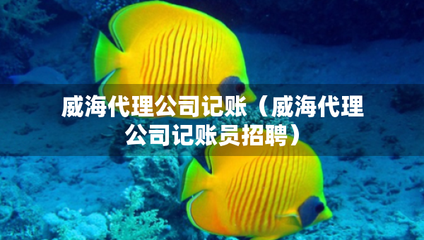 威海代理公司记账（威海代理公司记账员招聘）