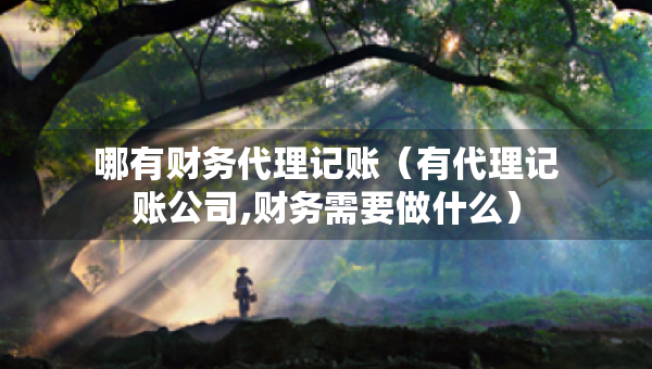 哪有财务代理记账（有代理记账公司,财务需要做什么）