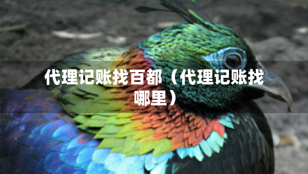 代理记账找百都（代理记账找哪里）