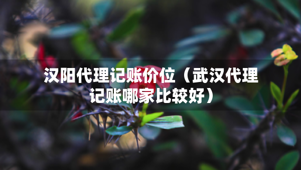 汉阳代理记账价位（武汉代理记账哪家比较好）