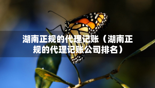 湖南正规的代理记账（湖南正规的代理记账公司排名）