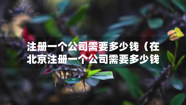 注册一个公司需要多少钱（在北京注册一个公司需要多少钱）
