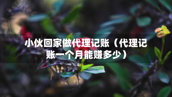 小伙回家做代理记账（代理记账一个月能赚多少）