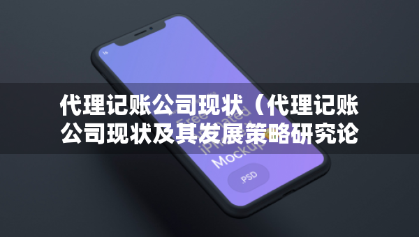 代理记账公司现状（代理记账公司现状及其发展策略研究论文）