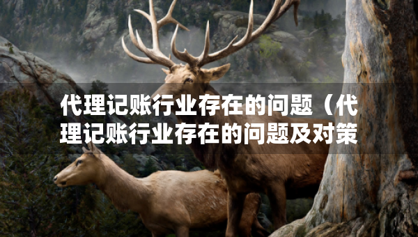 代理记账行业存在的问题（代理记账行业存在的问题及对策研究）