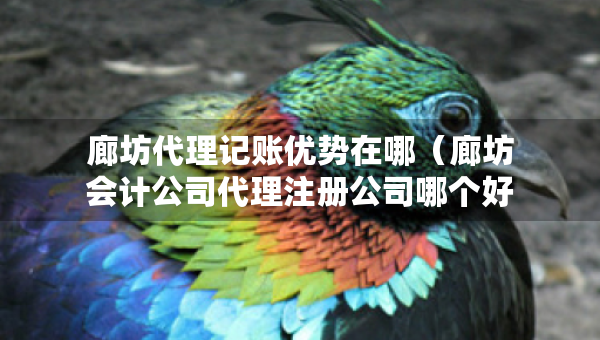 廊坊代理记账优势在哪（廊坊会计公司代理注册公司哪个好）