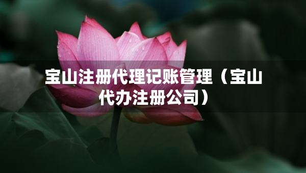 宝山注册代理记账管理（宝山代办注册公司）
