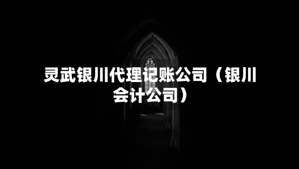 灵武银川代理记账公司（银川会计公司）