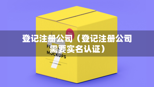 登记注册公司（登记注册公司需要实名认证）