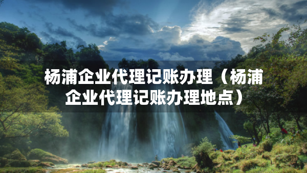 杨浦企业代理记账办理（杨浦企业代理记账办理地点）