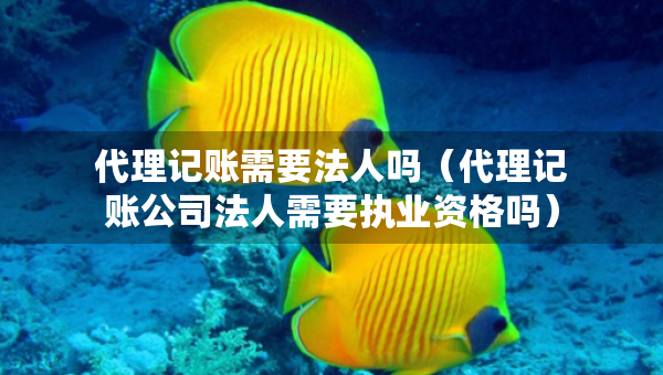 代理记账需要法人吗（代理记账公司法人需要执业资格吗）