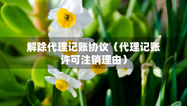 解除代理记账协议（代理记账许可注销理由）