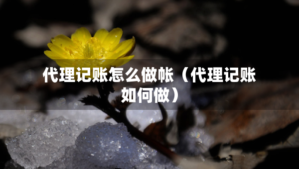 代理记账怎么做帐（代理记账如何做）