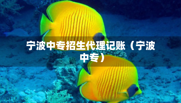 宁波中专招生代理记账（宁波 中专）