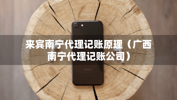 来宾南宁代理记账原理（广西南宁代理记账公司）