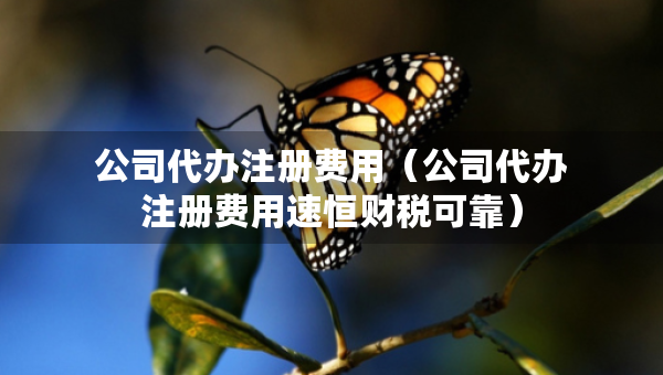 公司代办注册费用（公司代办注册费用速恒财税可靠）