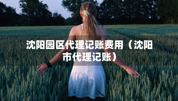 沈阳园区代理记账费用（沈阳市代理记账）