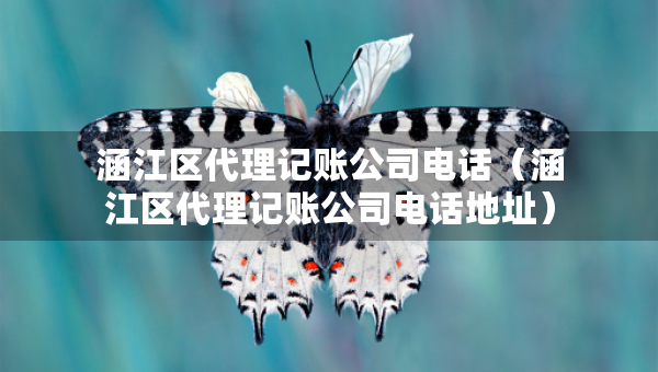 涵江区代理记账公司电话（涵江区代理记账公司电话地址）