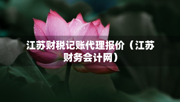 江苏财税记账代理报价（江苏财务会计网）