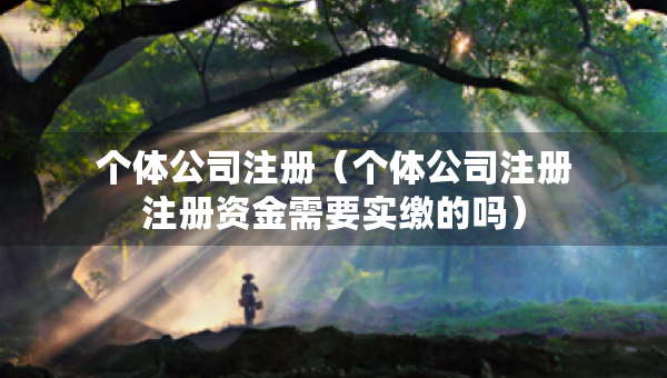 个体公司注册（个体公司注册注册资金需要实缴的吗）