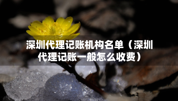 深圳代理记账机构名单（深圳代理记账一般怎么收费）