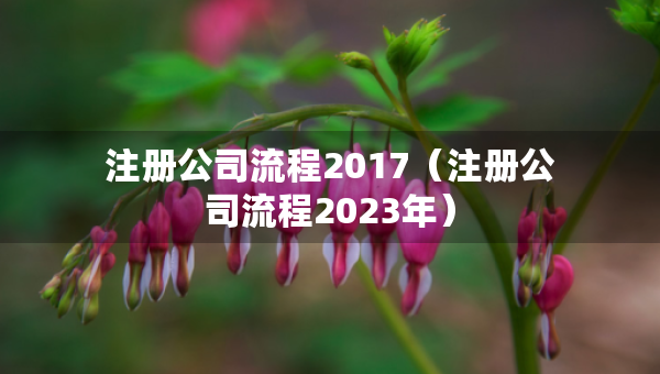 注册公司流程2017（注册公司流程2023年）