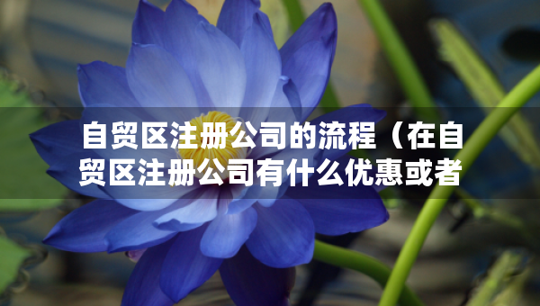 自贸区注册公司的流程（在自贸区注册公司有什么优惠或者政策）