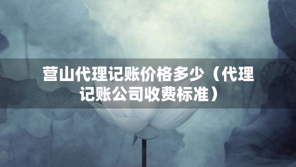 营山代理记账价格多少（代理记账公司收费标准）